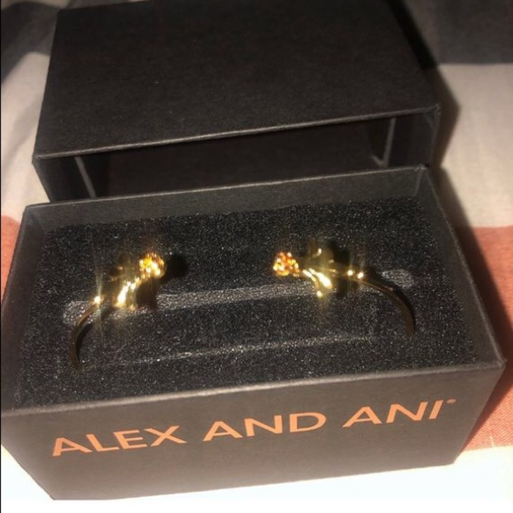 Alex & Ani bracelet